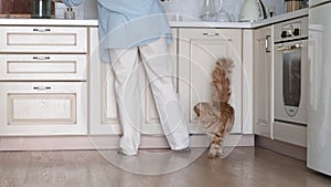 woman is tidying up her kitchen with her back facing the camera, while her affectionate ginger cat rubs against her legs