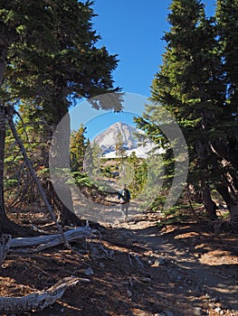 Woman on the Tilly Jane Trail on Mount Hood, Oregon.