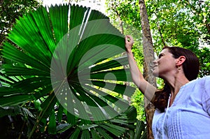 Woman touches a Palm tree leaf in Queensland Australia