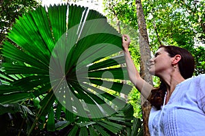 Woman touches a Palm tree leaf in Queensland Australia photo