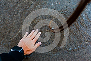 A woman touches water top view. Summertime holidays concept. Top view. Copy space.