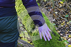 Woman touching a fallen moss covered tree in autumn forest