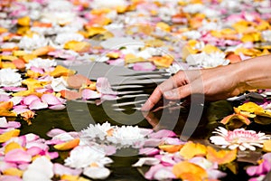 Woman touching flower petals
