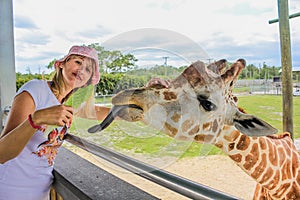 Woman touching giraffe