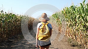 Woman tourist with backpack walking in the woods summer day. Female hiking alone through forest. Travel concept
