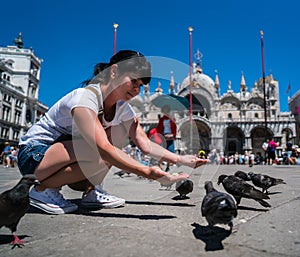 Woman tourist feeding pigeons in the square - St. Marks Square -