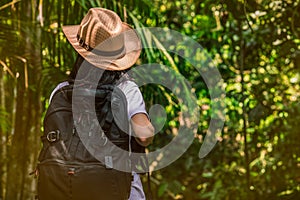 Woman tourist with hat and backpack standing in evergreen forest