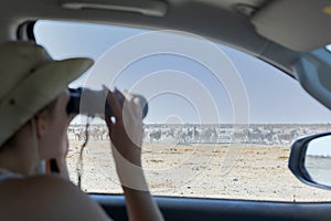 Woman tourist on safari in Africa, travel in Kenya, watching wildlife in savanna with binoculars