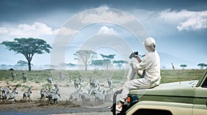 Woman tourist on safari in Africa, traveling by car in Kenya and Tanzania, watching zebras and antelopes in the savannah