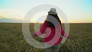 Woman tourist walking in wheat field at summer sunset. Hiker traveler woman in hat with backpack hikking in nature. Girl