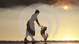 Woman train dog silhouette in water reflection on beach Spbi. Corgi pet stand up on feet and touch