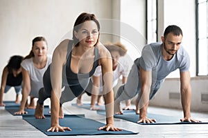 Woman trainer and group of people performing together plank pose