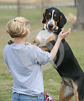 Una donna formazione il cane 