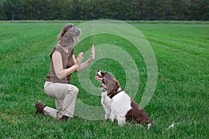 Woman is training dogs.dogs remain seated until command