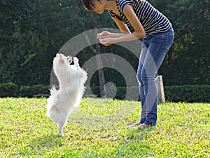 Woman training her dog