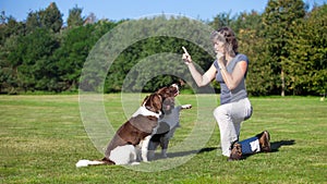 Woman training her dogs with a whistle
