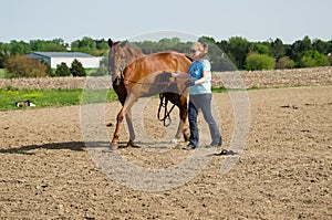 Woman training horse