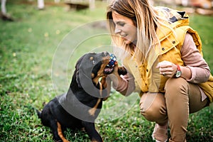 woman training and playing with puppy on grass, in park. Rottweiler dog puppy details