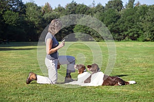 Woman training two dogs in a meadow