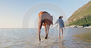 Woman, travel and horse relaxing on beach, nature and peaceful vacation or holiday by ocean. Female person, animal and