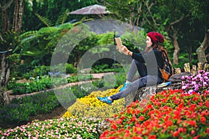 Woman travel nature in the flower garden. relax sitting on rocks and reading books In the midst of nature at national park doi