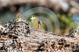 Woman traveler with backpack walking among trees at forest