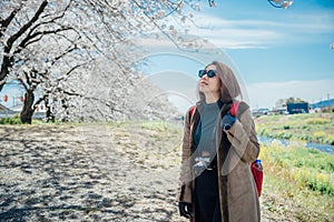 A woman traveler looking at the beautiful scenery of sakura cherry blossom at the Uruigawa river in Japan