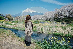 A woman traveler looking at the beautiful scenery of sakura cherry blossom at the Uruigawa river in Japan