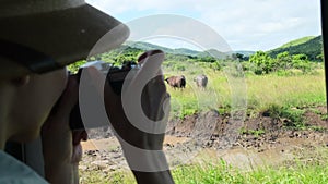 woman traveler and photographer standing in safari looking at wildlife animals