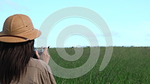 A woman traveler in safari clothes and a sun hat takes a photo in the savannah