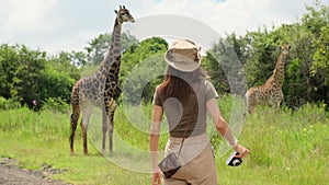 Woman traveler in safari hat taking photo of giraffe in national park