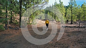 Woman traveler walks around a pine forest on top of the Chinyero volcano in the national park of the Teide volcano on