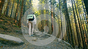 woman traveling in a dense fairy forest climbing up. View of a woman and the forest from behind. Woman traveling with a