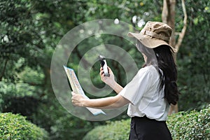 Woman traveling in hat with smartphone and map in forest. cropped image of woman with map and phone Standing near a tree in the