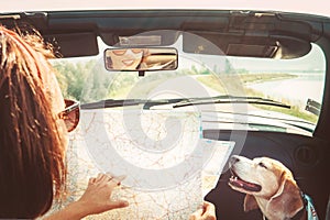Woman traveling with her beagle dog by cabriolet car and planning itinerary using the paper map in the bright sunny day