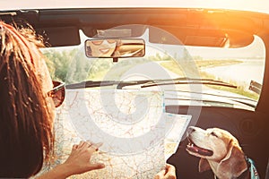 Woman traveling with her lovely beagle dog by convertible car and planning itinerary using the paper map in the bright sunny day