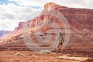 Woman travels to America on the Colorado river observation deck