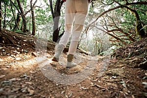 Woman trekking on the forest footpath