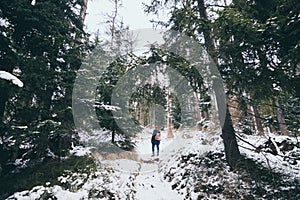 Woman trekking in High Tatra mountains in winter, Slovakia