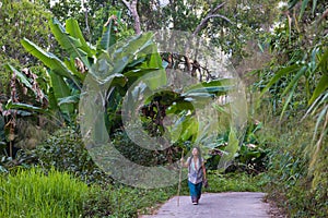 Woman trekking in jungle path