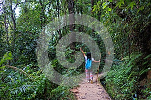Woman trekking in the lush Doi Inthanon forest in Thailand photo