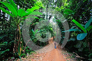 Woman trekking in the lush jungle