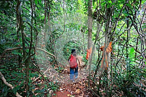 Woman trekking in the Thailand jungle