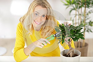 Woman trimming bonsai tree
