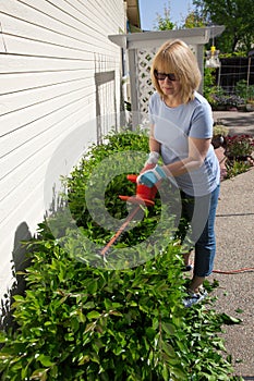 Woman trimming bushes