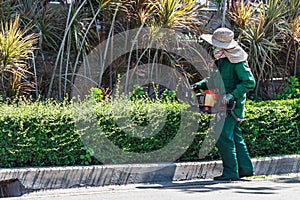 Woman Trimming Hedge with Trimmer Machine