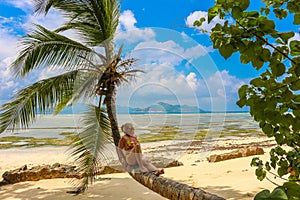 Woman tropical beach palm trees