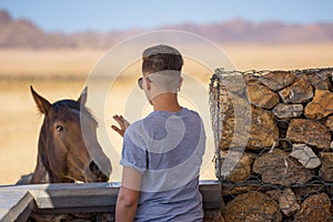 Woman trying to pet a wild horse in the Namib desert near Luderitz, Namibia