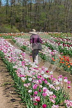 Woman in tulip field