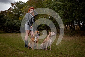 Woman with two beautiful American Staffordshire pitbulls